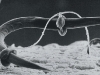 o_hongois depredadores de nematodos